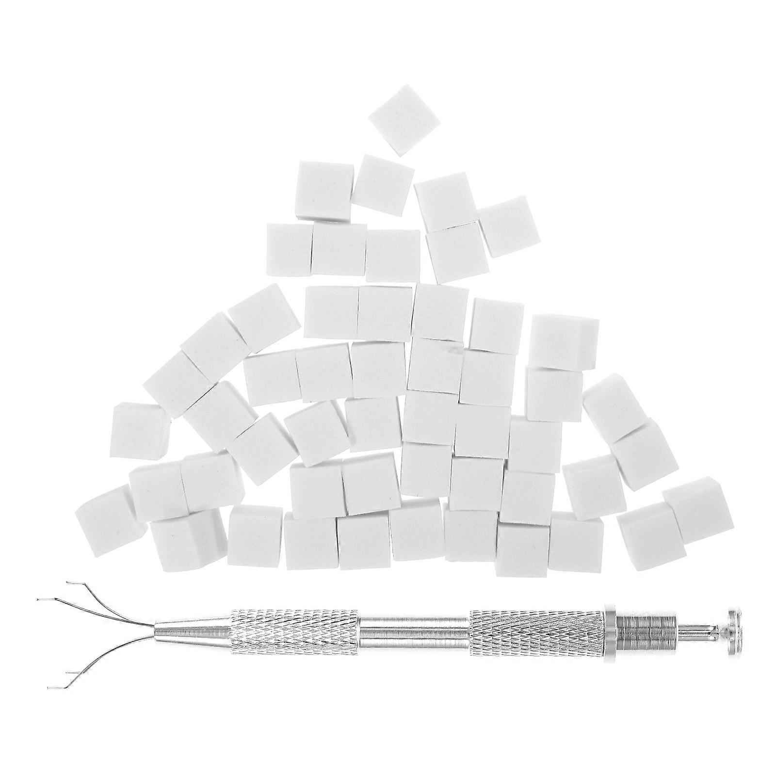 Nail Sponges Kit for Manicure Use with Grabber Tool 1Set