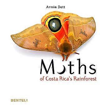 Falene di Costa Rica's Rainforest