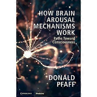 Como funcionam os mecanismos de ativação cerebral - Donald Pfaff