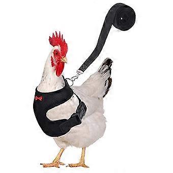 Soft Stretch Chicken Harness with Leash