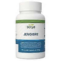 Ginger 120 capsules