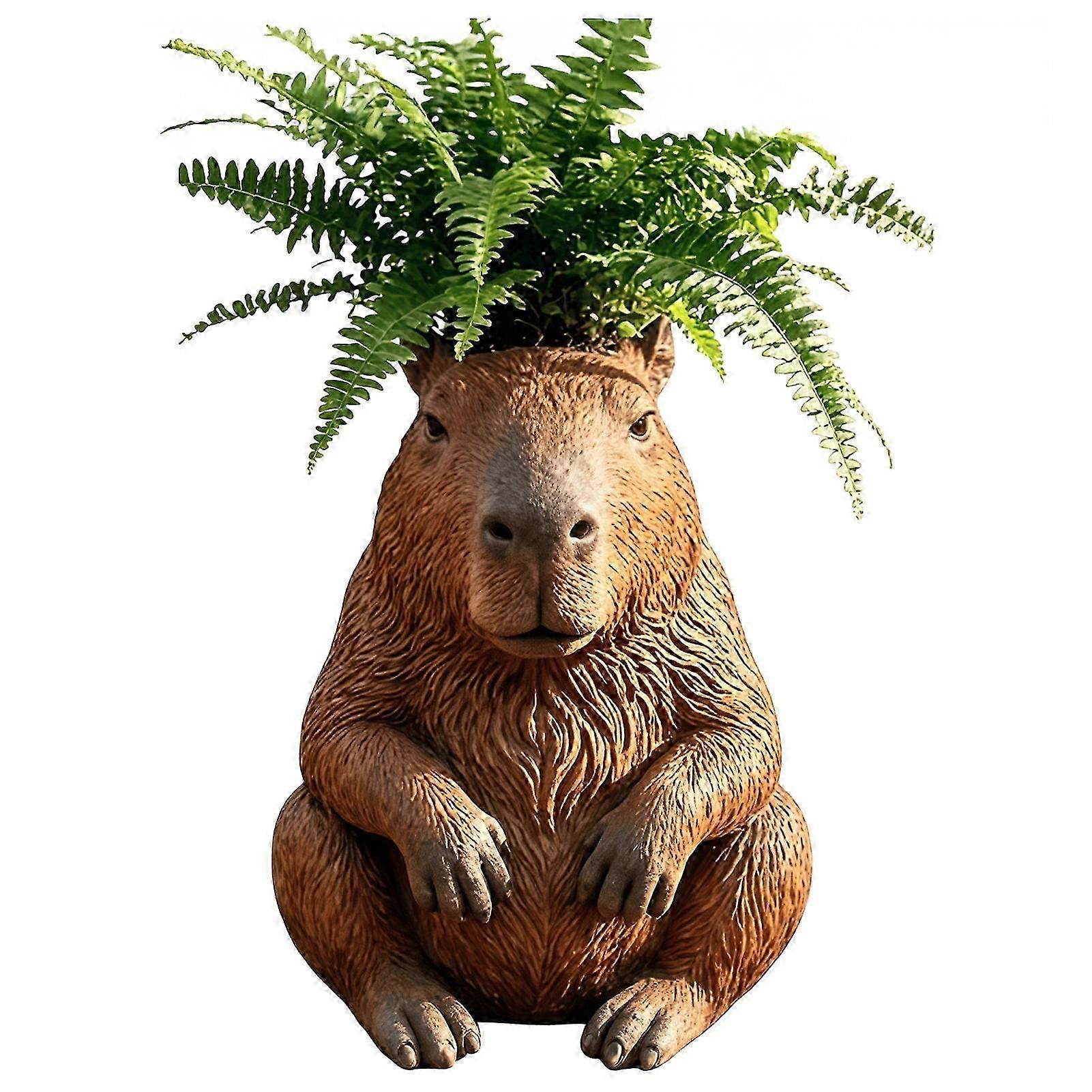 Funny Middle Finger Succulent Planter