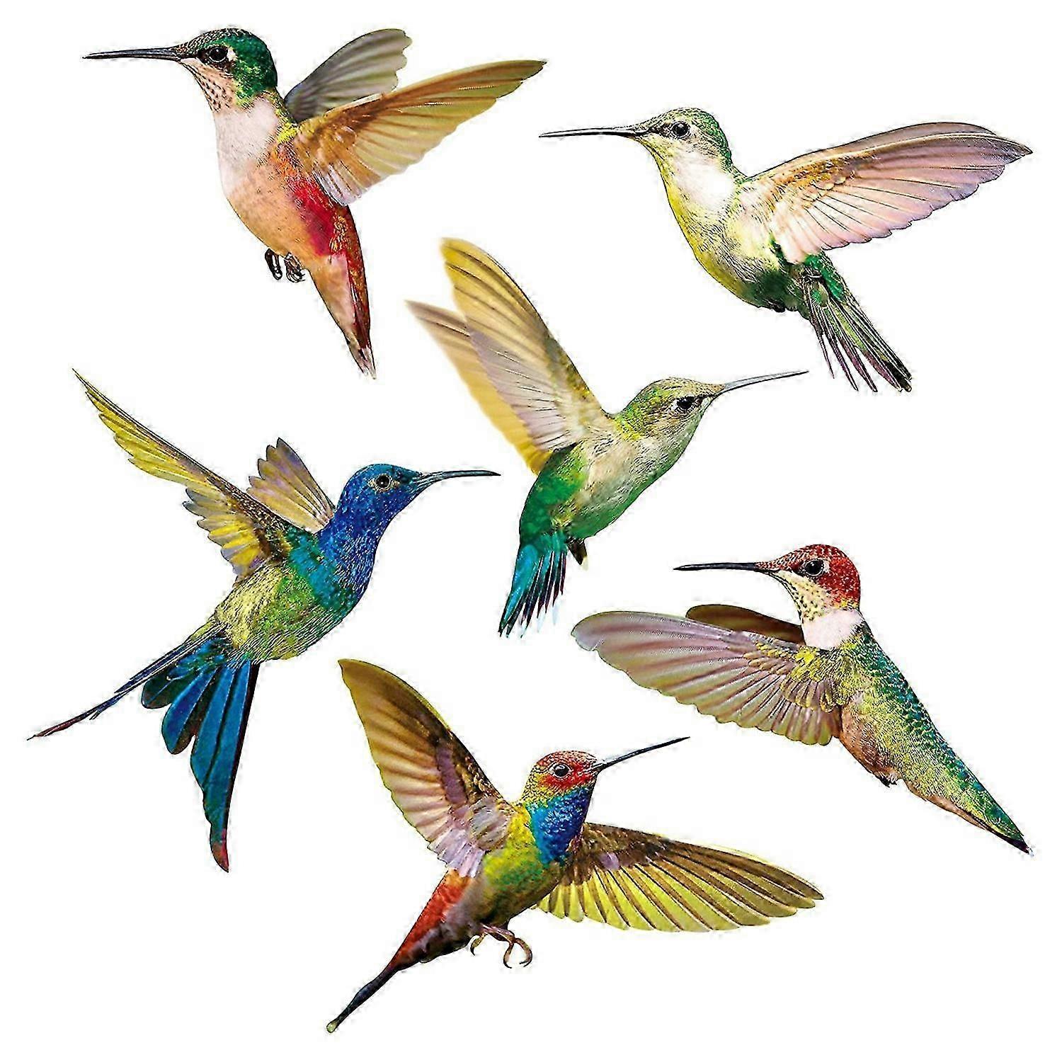 6 Pcs Colourful Bird Window Clings