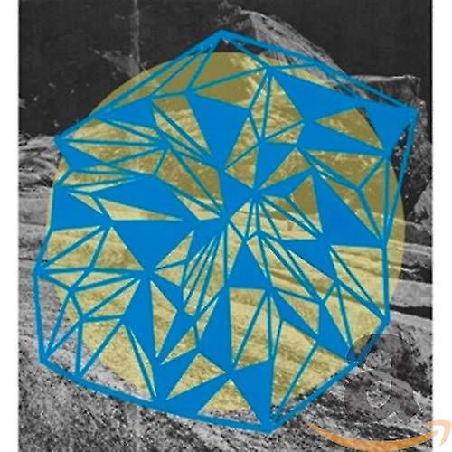 Broads - Field Theory [CD] (ブローズ - 場の理論 [CD])