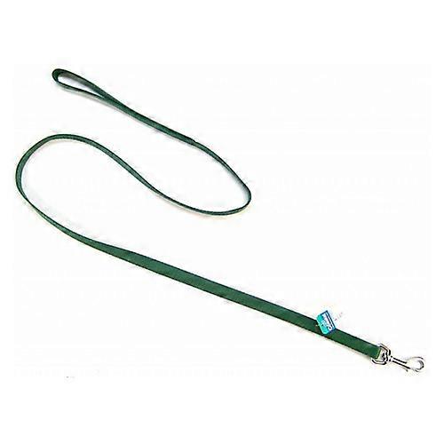 Coastal Pet Nylon Lead - Hunter Green, 4' Long x 5/8" Wide