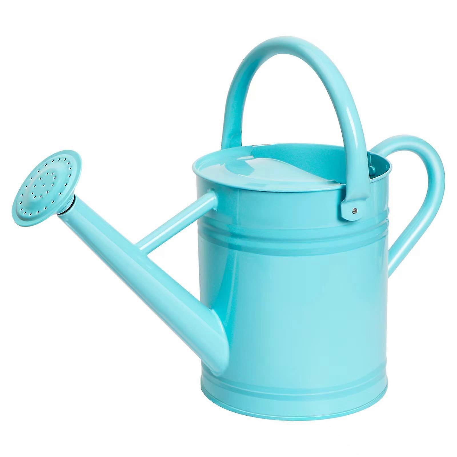 Beautiful galvanized steel watering can for outdoor use 1 gallon