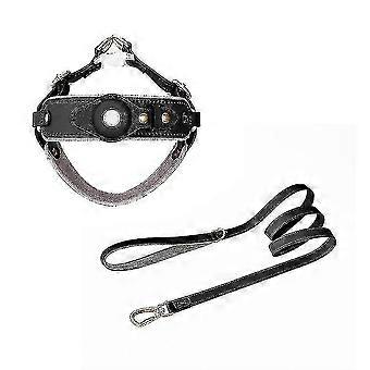 Leder Airtag Hundehalsband mit Leine, verstellbares Haustiergeschirr mit Airtag Halter - XS Schwarz