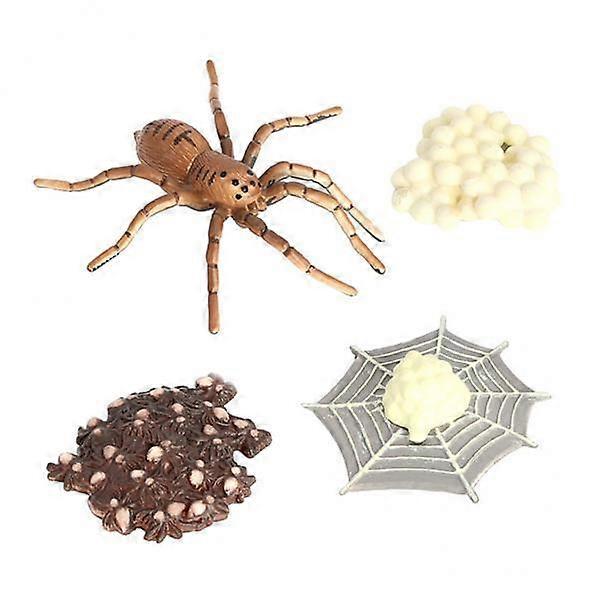 2 Growth Life Cycle Simulation Animal Model Lessons for