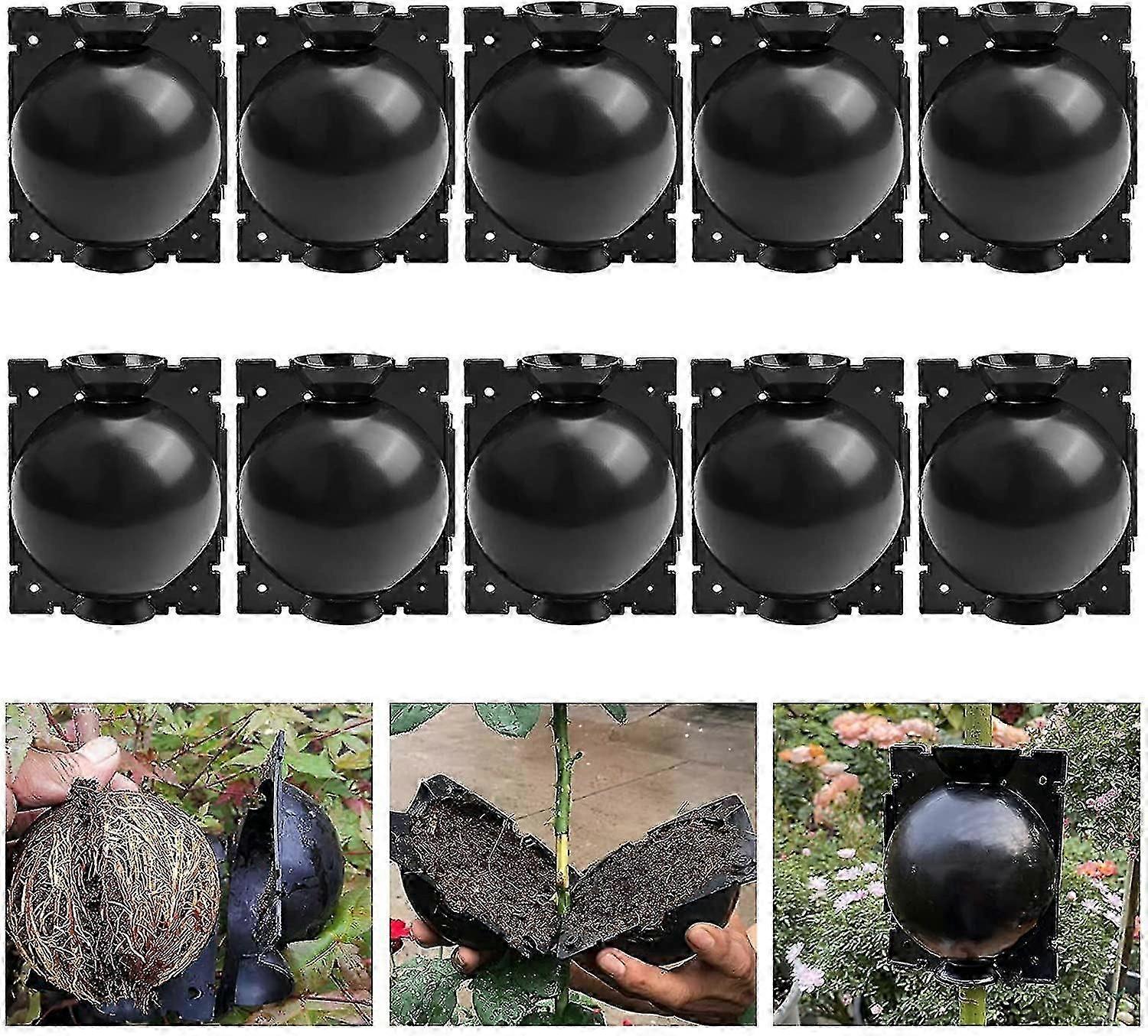 10 Pack Plant Rooting Deviceplant Root Growing Box For Plant Propagation Reasable Propagation Rooting Ball