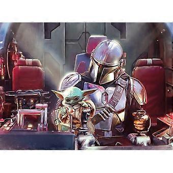 Star Wars - Dit is geen speelgoed puzzel stijl 310