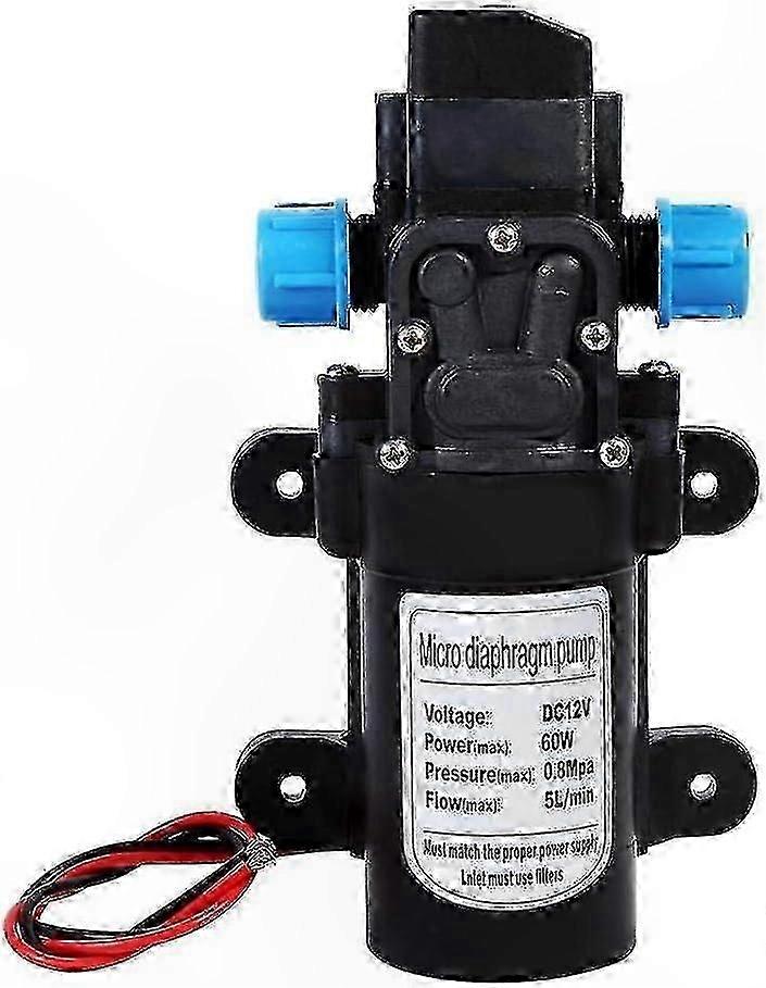 12V DC Self-Priming Pump for RV, Caravan, and Marine Use