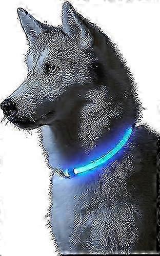 Glow Dog Collar (Blue)  USB Rechargeable Flashing