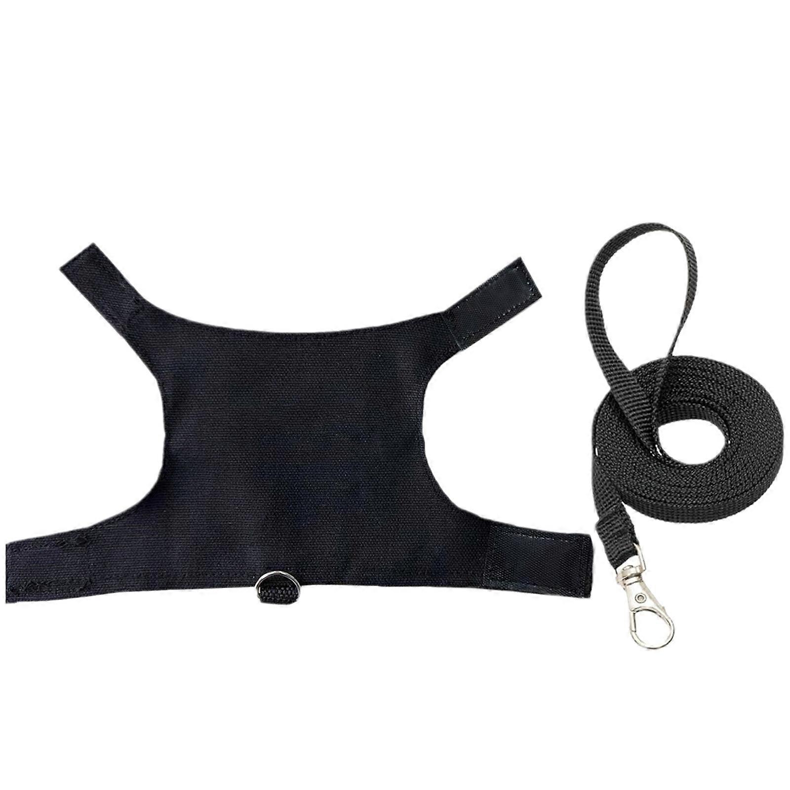 Reptiles Harness Leash Set Adjust Size Reptiles Chest Back Traction Rope Reliability Lizards Harness with Letter Print Multicolor