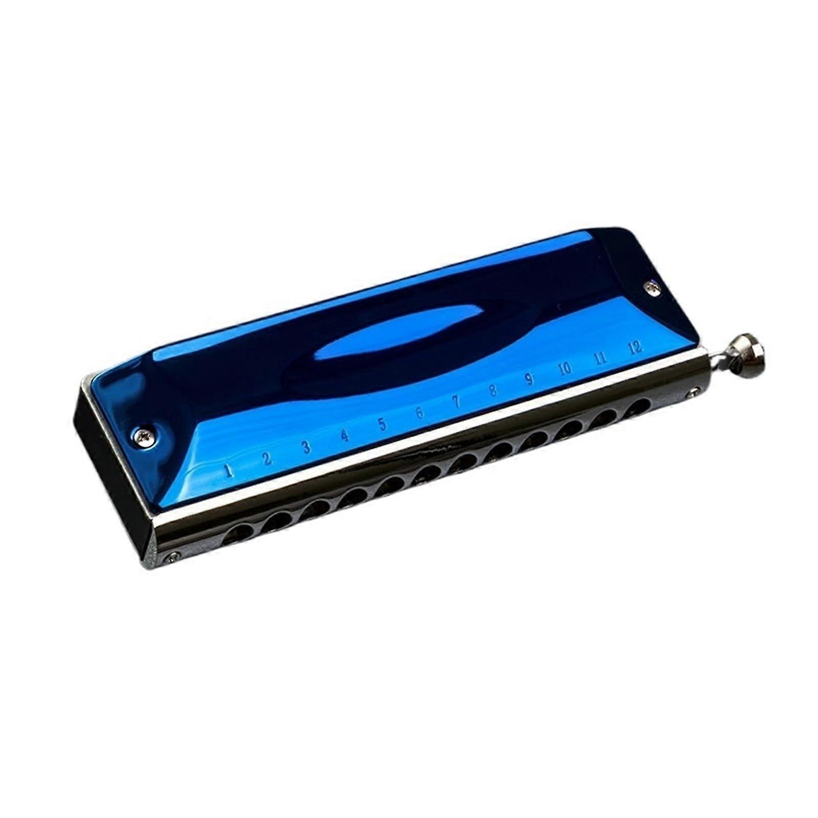 12 Hole 48 Tone Blues Harmonica Set for Beginners, Versatile Sound Tuning and PocketFriendly Design