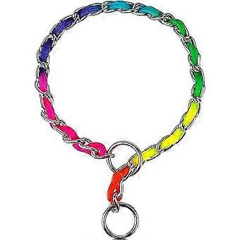 Collier pour chien en acier inoxydable arc-en-ciel avec chaîne en P pour le dressage