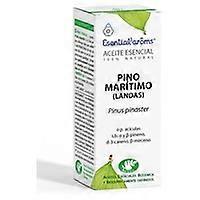 Pine Landes essential oil 15 ml