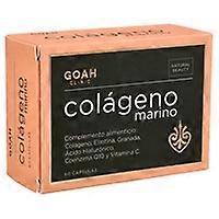 Collagen 60 capsules