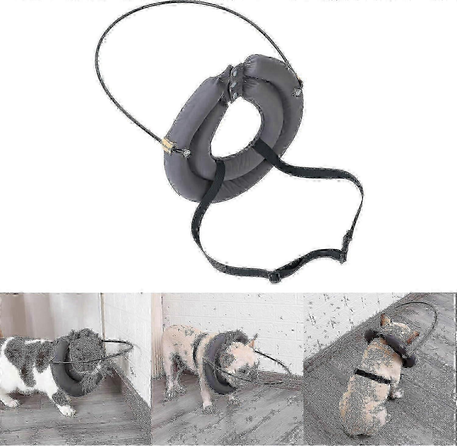 Blind Dog Halo Harness
