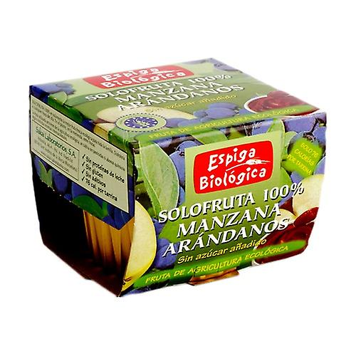 Apple blueberry jam 2 units of 100g