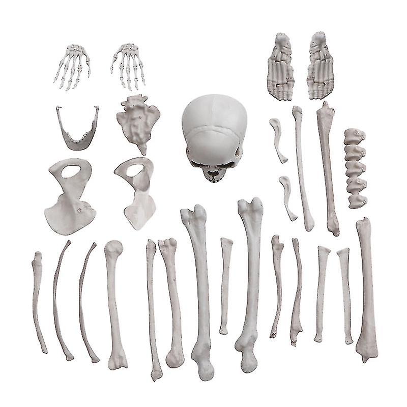 27pcs Bucky Skeleton For Halloween Decorations