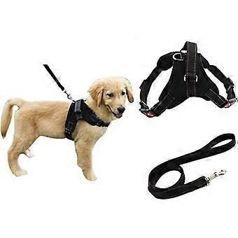 Heavy Duty Adjustable Pet Puppy Seat Belt Leash Lead Set Breathable Padded Dog Leash Collar for Small Medium Large Dog Training Walk