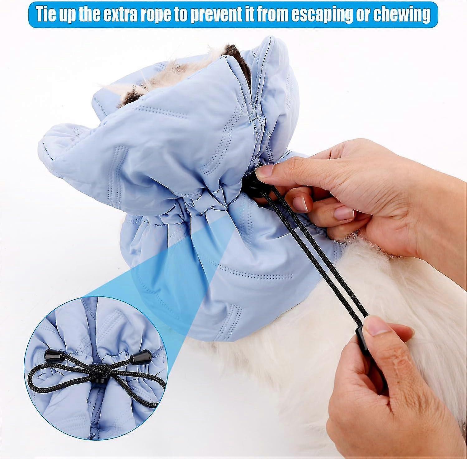 Illustration of Cats Meowing Persisted After Citronella Collar