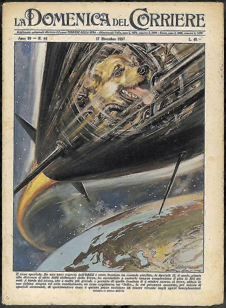 Póster de Sputnik Ii Laika
