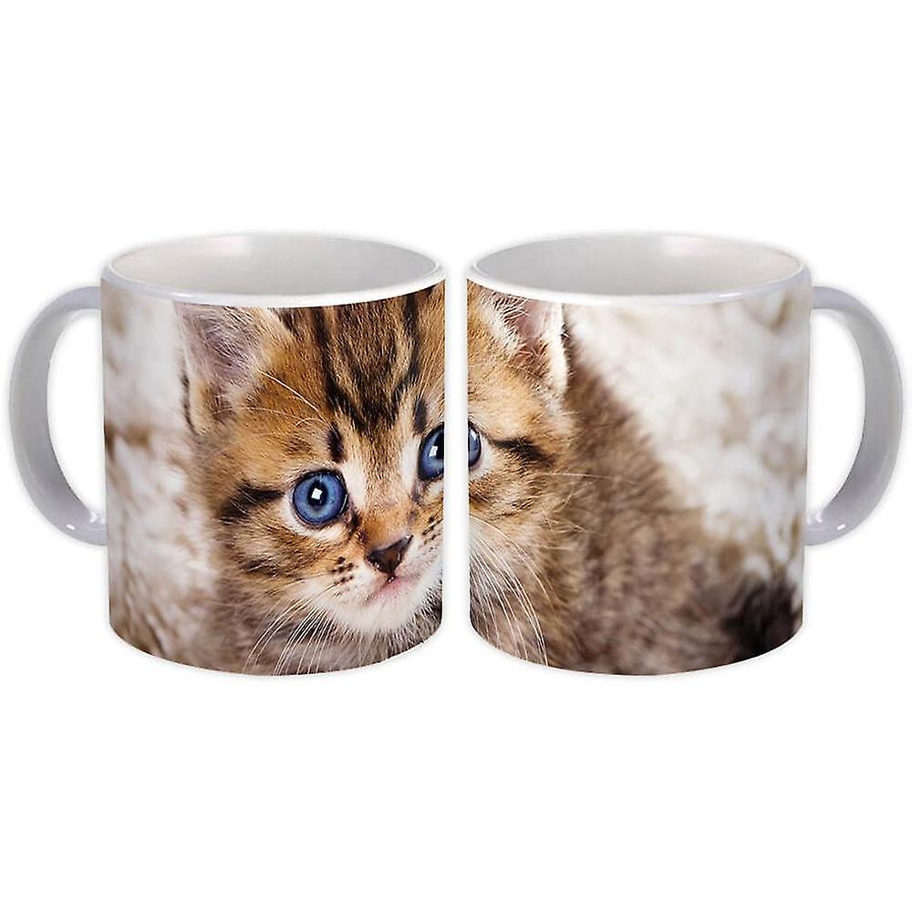 Gift Mug: Cat Kitten