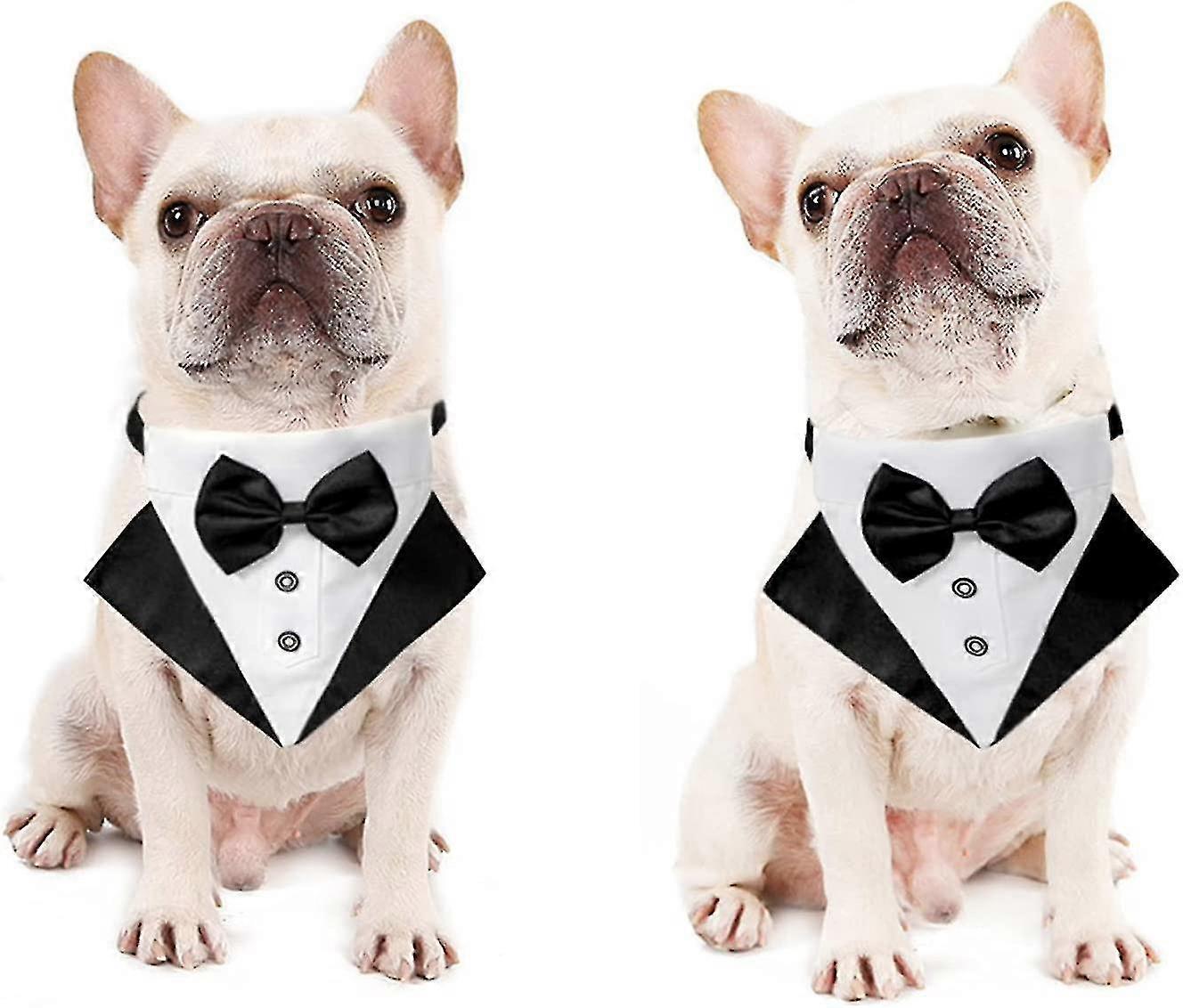 SMALL DOG - Doggy Tuxedo Pin Stripe Jacket