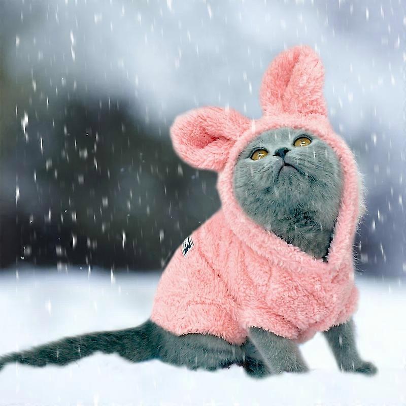 Varma kattkläder Vinter Pet Valp Kattungar Kappa Jacka för små Medelstora flickor Hundar Katter Chihuahua Yorkshire Kläder Kostym