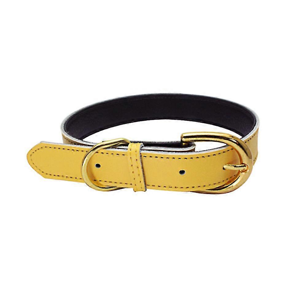 توالت الجلود الكلب طوق دائم طوق حبل جولة مناسبة للكلاب