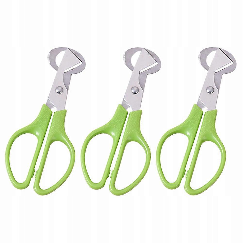 Bird Egg Scissors Quail Tool Eggshell 3 Pcs