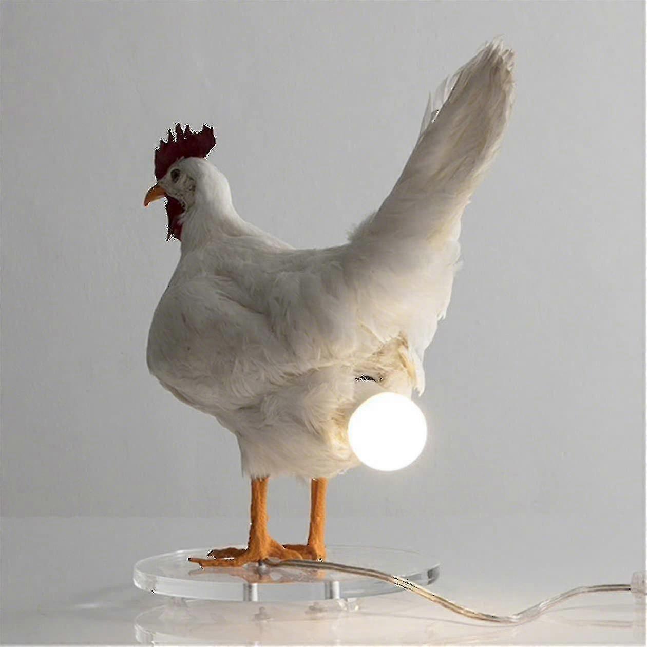 Chicken Led Lamp Egg Night Lamp Taxidermy Egg Desk Lamp FP