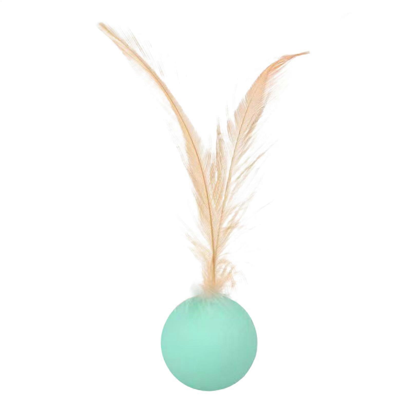 Interactive Cat Toy Ball with Feather, Rolling Chasing Toy for Kittens, Indoor Outdoor Sensory Stimulation, Blue