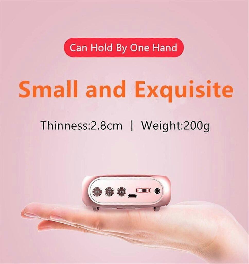 Portable Voice Amplifier with Mic, Rechargeable Speaker, Speakerphone (Black)