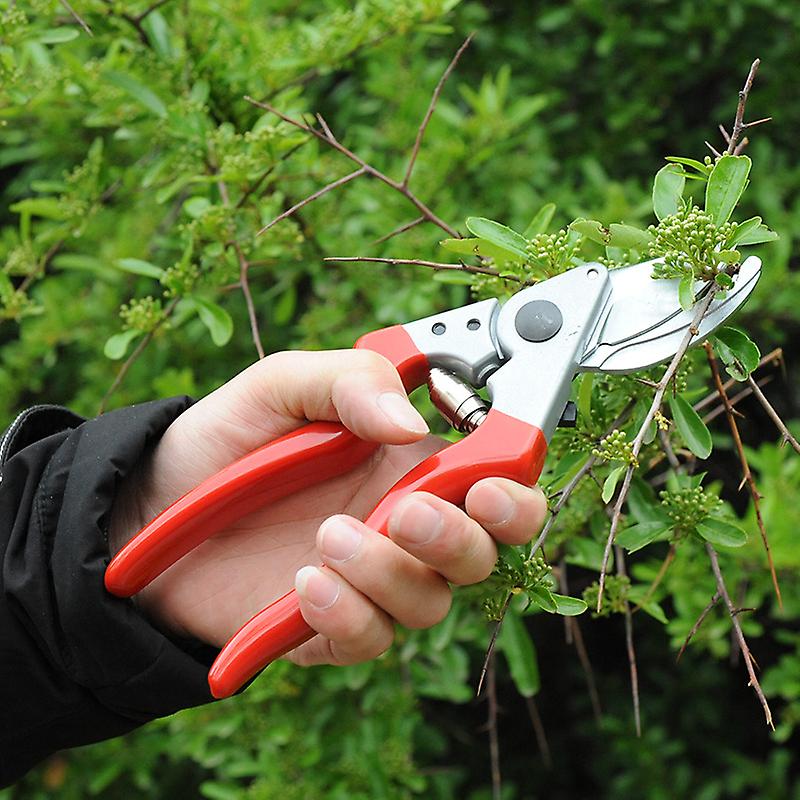 Left-handed sharp blade pruner 25 mm x 210 mm x 65 mm