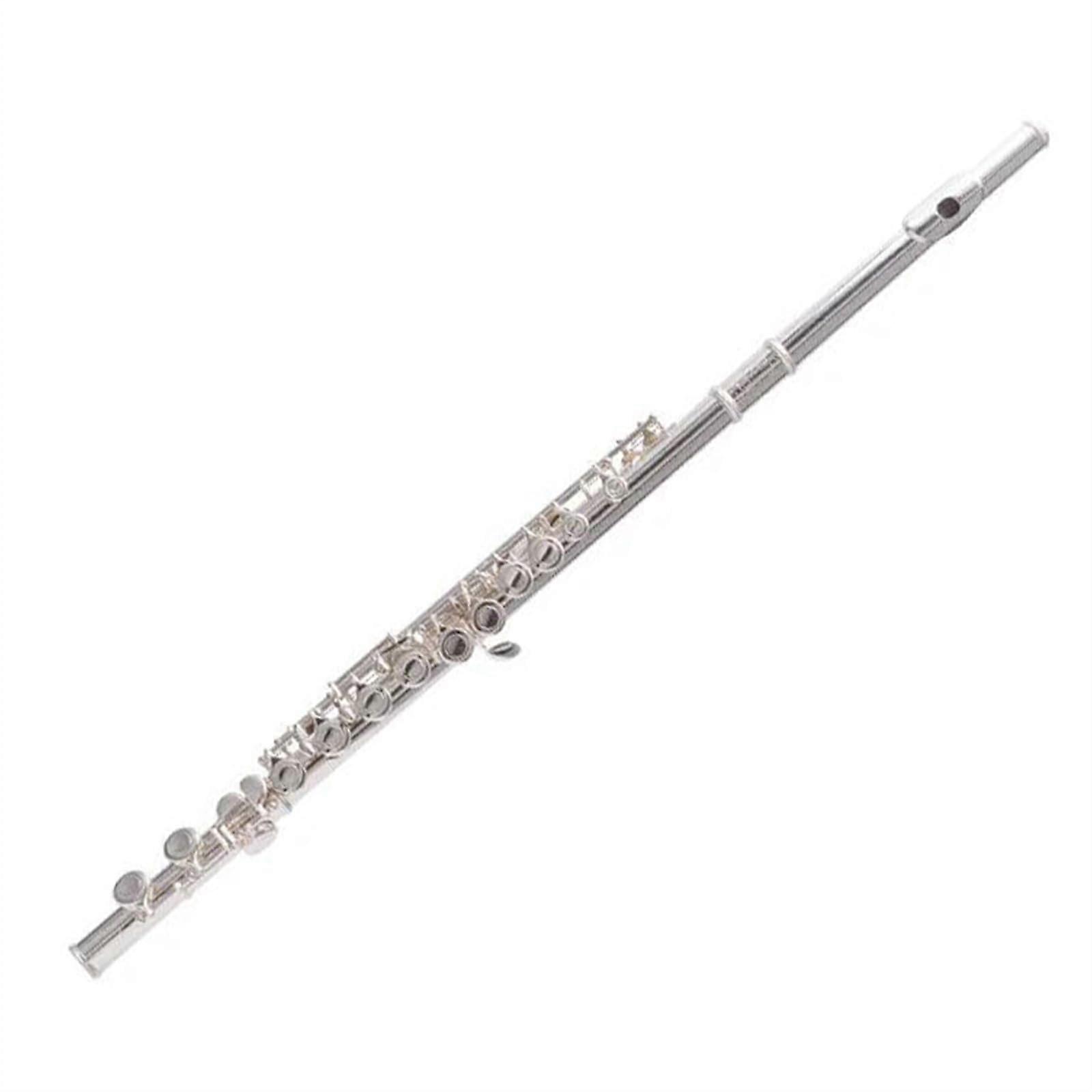 Silver Plated Cupronickel Open Hole C Flute 16 Key Set with Case and Stand for Beginner Intermediate