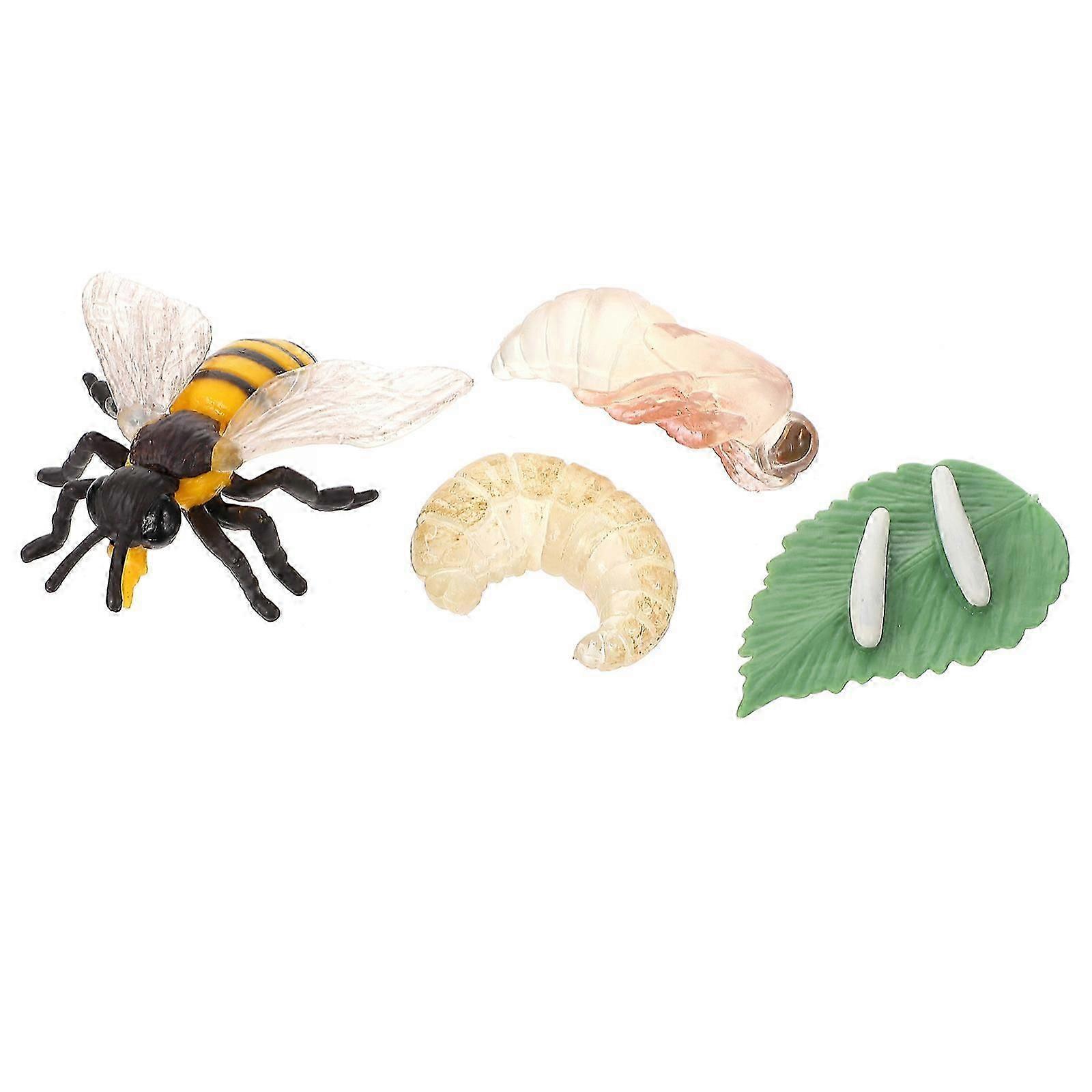 Bee Growth Cycle Educational Simulation Model for Display 1Set