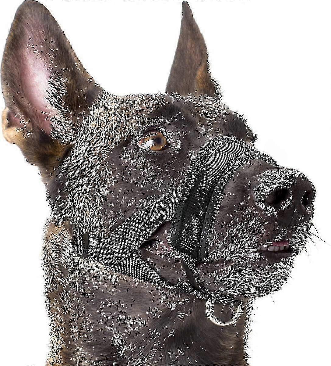 Dog Muzzle Anti Biting Barking Chewing With Soft Padding And Adjustable Loop XXF
