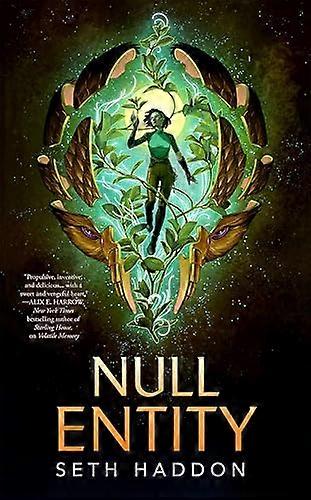 Null Entity