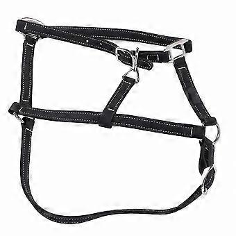 Adjustable Nylon Horse Bridle Headstall | Equestrian Riding Gear Accessory