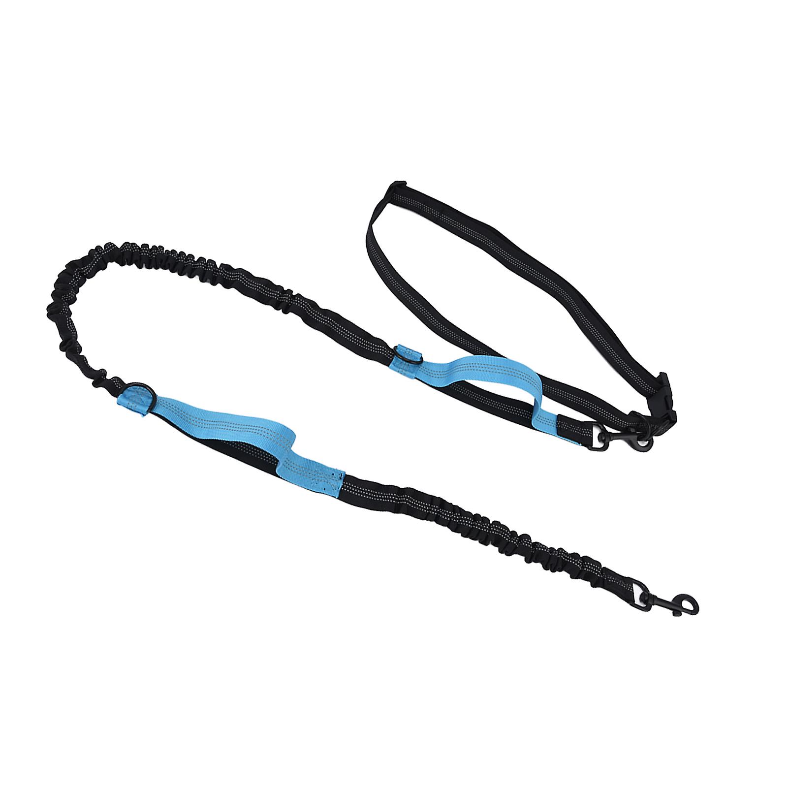 Reflective Retractable Dog Leash 2.0m Adjustable Blue Nylon Rope