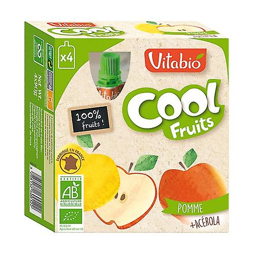 Organic Apple Cool Fruit Bottle 4 units of 90g (Apple - Acerola)