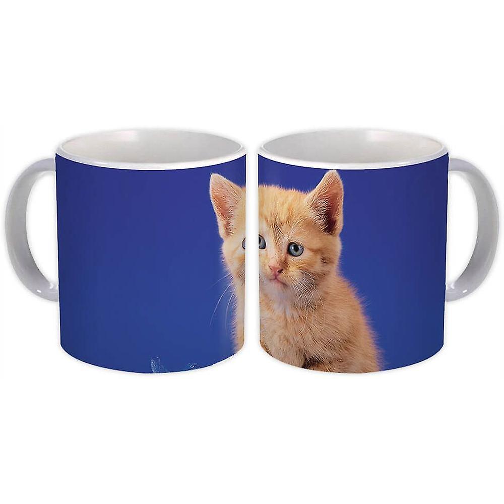 Gift Mug: Cat Animal
