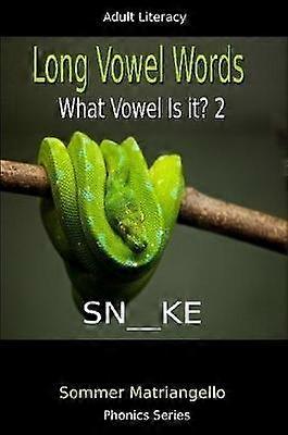 Long Vowel Words: What Vowel Is It? 2