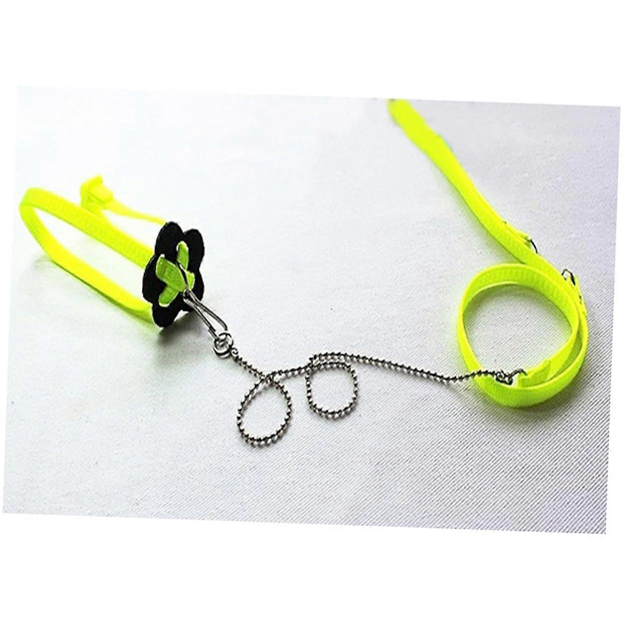 Adjustable Leash for and Lizards 12M for Walking Dragons and Leash Set