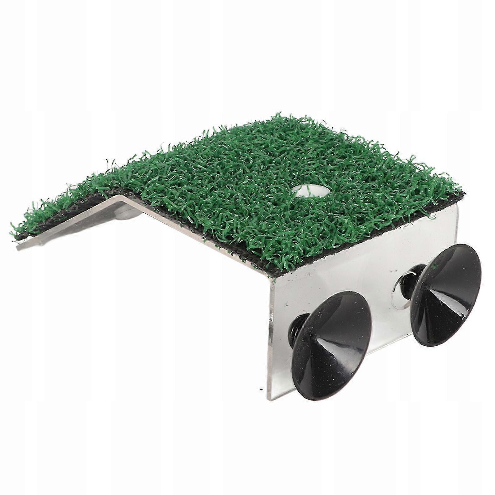 2026 Baby Turtle Basking Platform