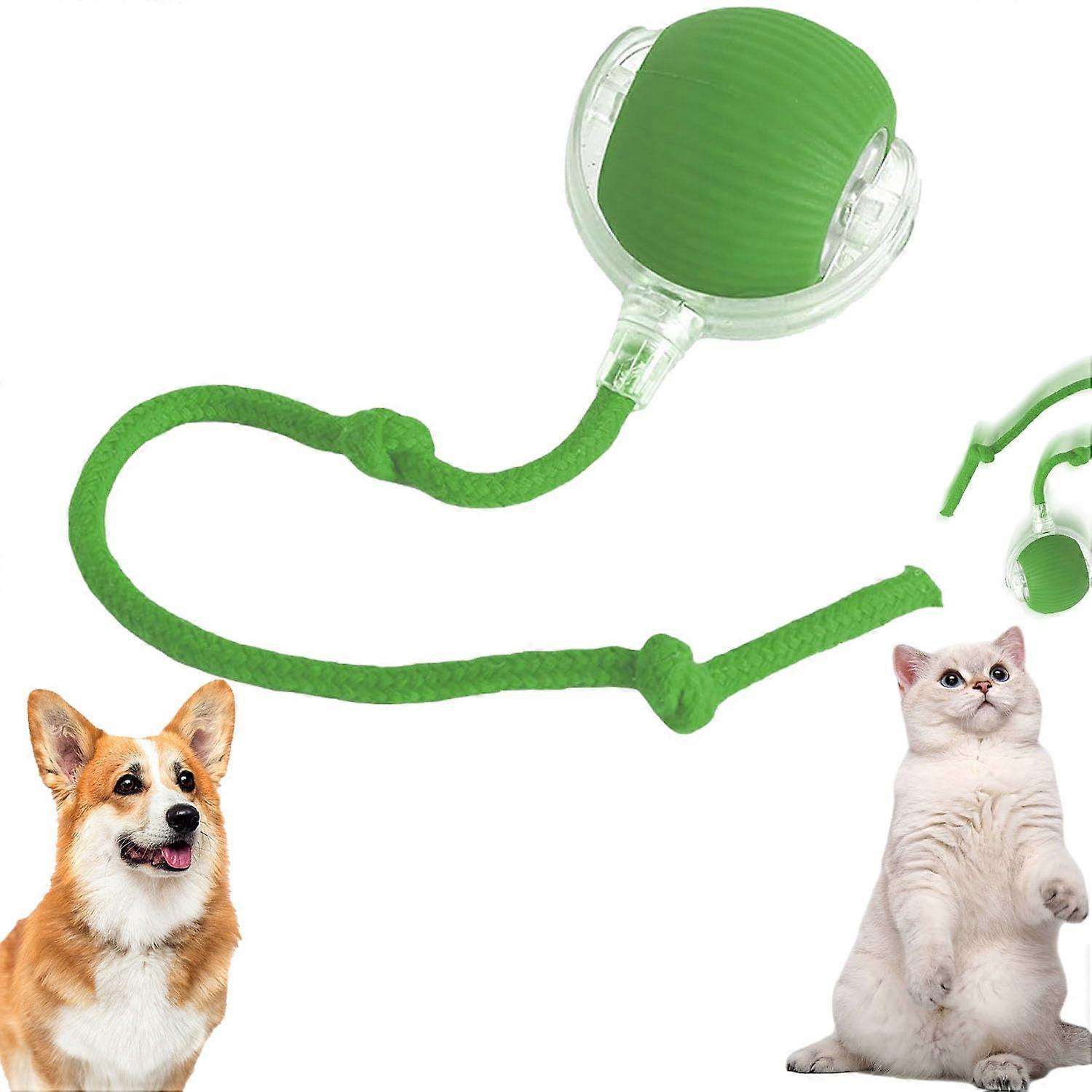 Interactive Cat Toy with LED Light, Smart Automatic Rolling Ball for Cats and Dogs Indoor Exercise Green
