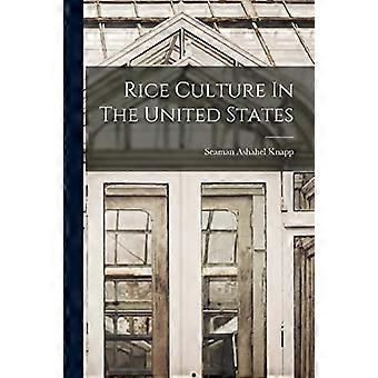 Riskultur i USA