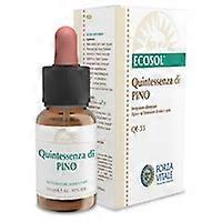 Pine Fifth Essence 10 ml